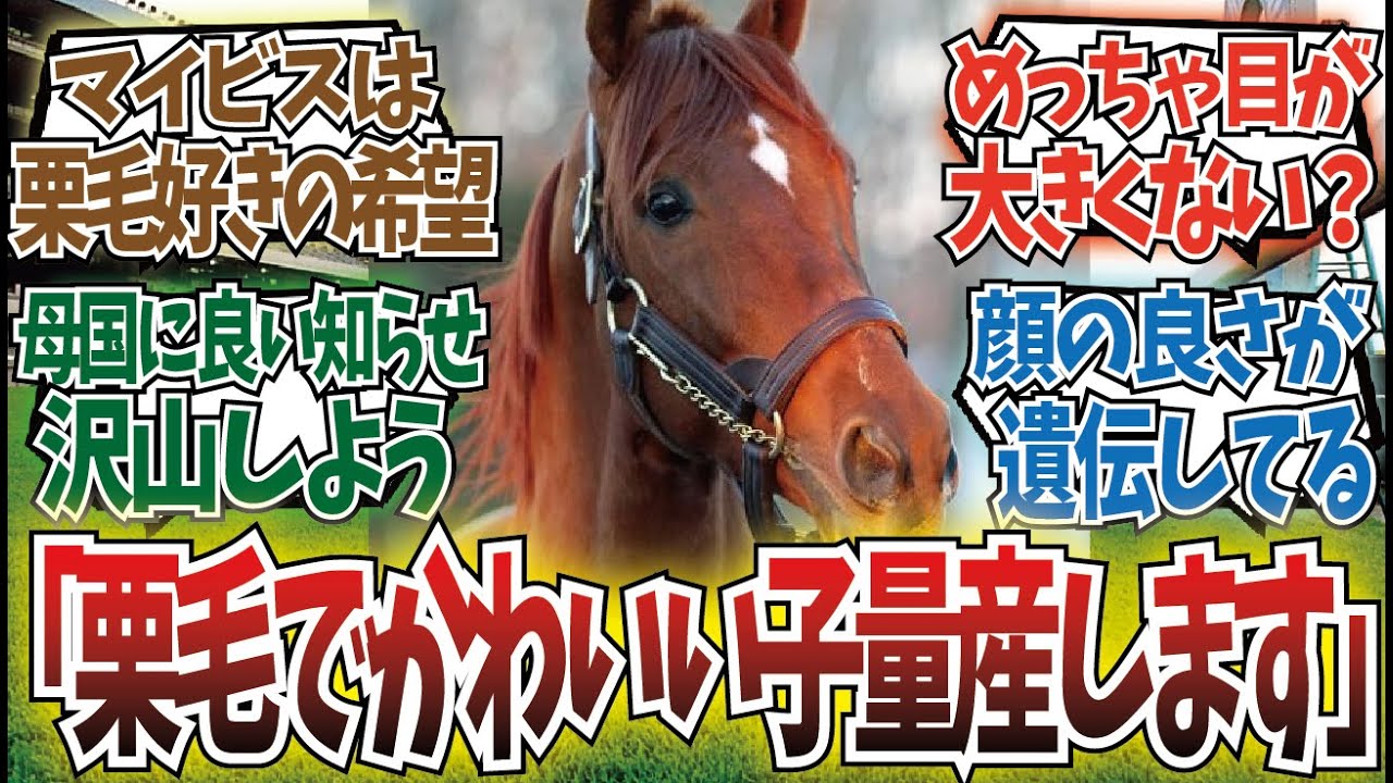 「可愛い産駒ばかり出すマインドユアビスケッツ」に対するみんなの反応集