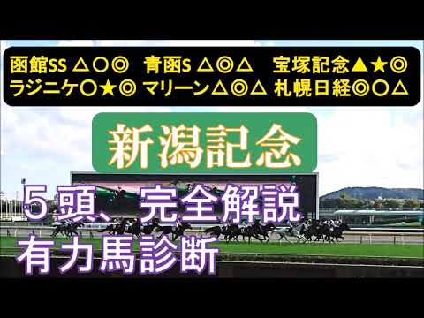 新潟記念2023　有力馬診断　あまり買いたくない馬は。