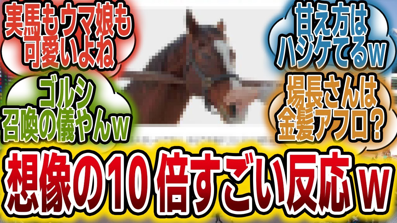 「ドットさんに『ドトウ、ドトウ』と呼びかけた結果www」に対するみんなの反応【競馬の反応集】