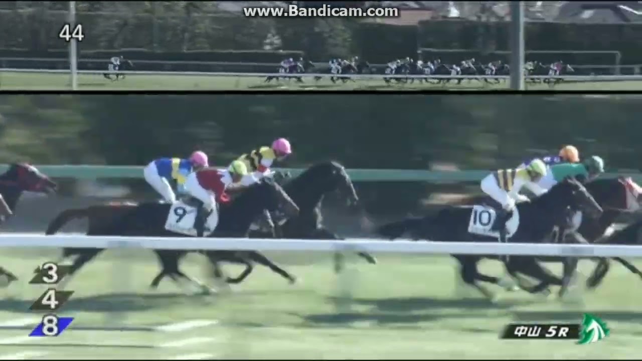 2023年1月5日　中山5R　3歳未勝利　メタルスピード