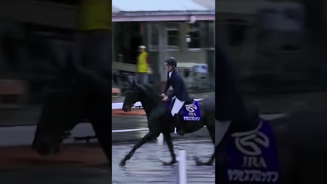 フェブラリーSを勝ったサクセスブロッケン一人ハイジャンプ