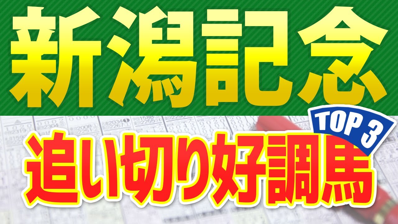 【新潟記念2023】追い切りが高評価だった「トップ3」はこの馬だ🐴 一週前と最終追い切り、馬体診断など ～JRA農林水産省賞典サマー2000シリーズ競馬予想～