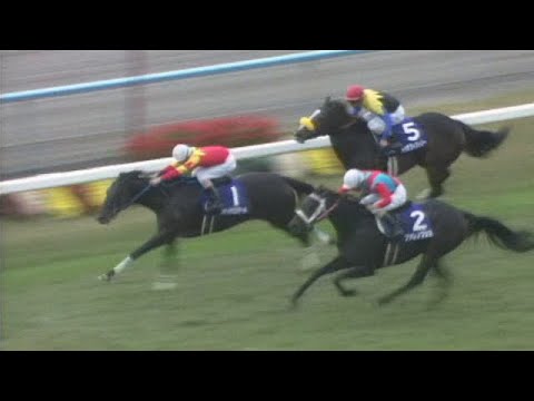 【ファレノプシス】 エリザベス女王杯 2000年11月5日「胡蝶蘭がもう一度咲くのか」