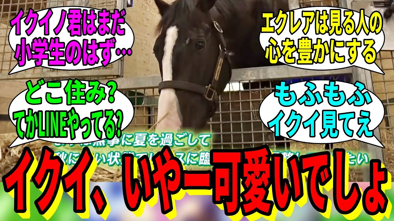 【競馬の反応集】「可愛いと思いきやカッコよくてでもやっぱり可愛いイクイノックス」に対する視聴者の反応集
