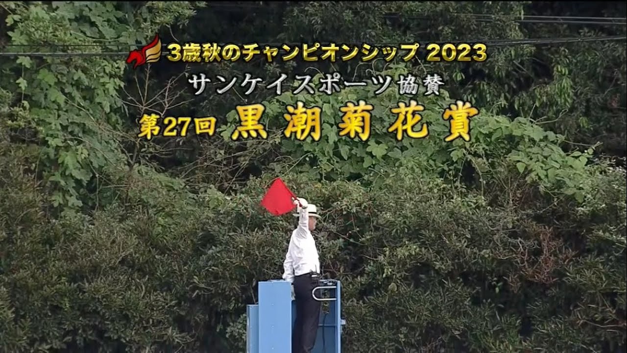第２７回 黒潮菊花賞３歳３歳［2023.8.27 高知第7R/1900m ダート］