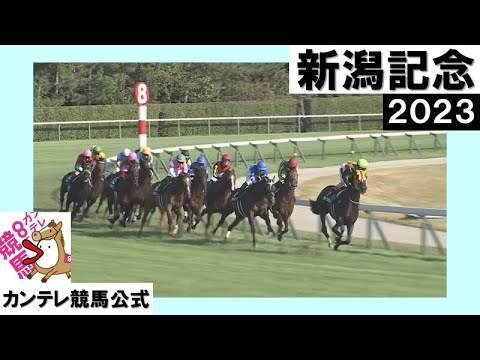 2023年 新潟記念 (GⅢ) 【カンテレ公式】