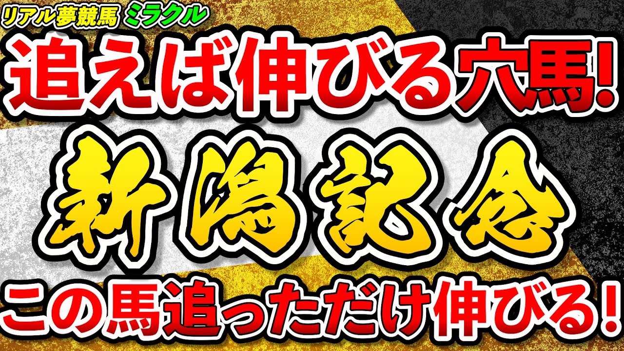 『新潟記念2023』追っただけ伸びる穴馬！追えば伸びます！#リアル夢競馬　＃ミラクル　＃馬づら王子　#新潟記念　 　#競馬　#競馬予想