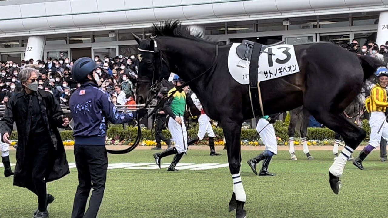 「俺様に触るな！」サトノギベオンに怒られる戸田調教師、レジェンド武豊が乗った後は落ち着きを取り戻した模様