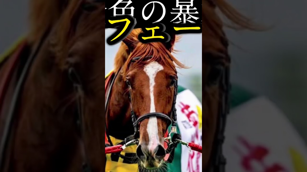 『平成/令和の三冠馬』 #競馬 #三冠馬 #ナリタブライアン #ディープインパクト #オルフェーヴル #コントレイル #サラブレッド #名馬 #菊花賞 #東京優駿 #日本ダービー #皐月賞