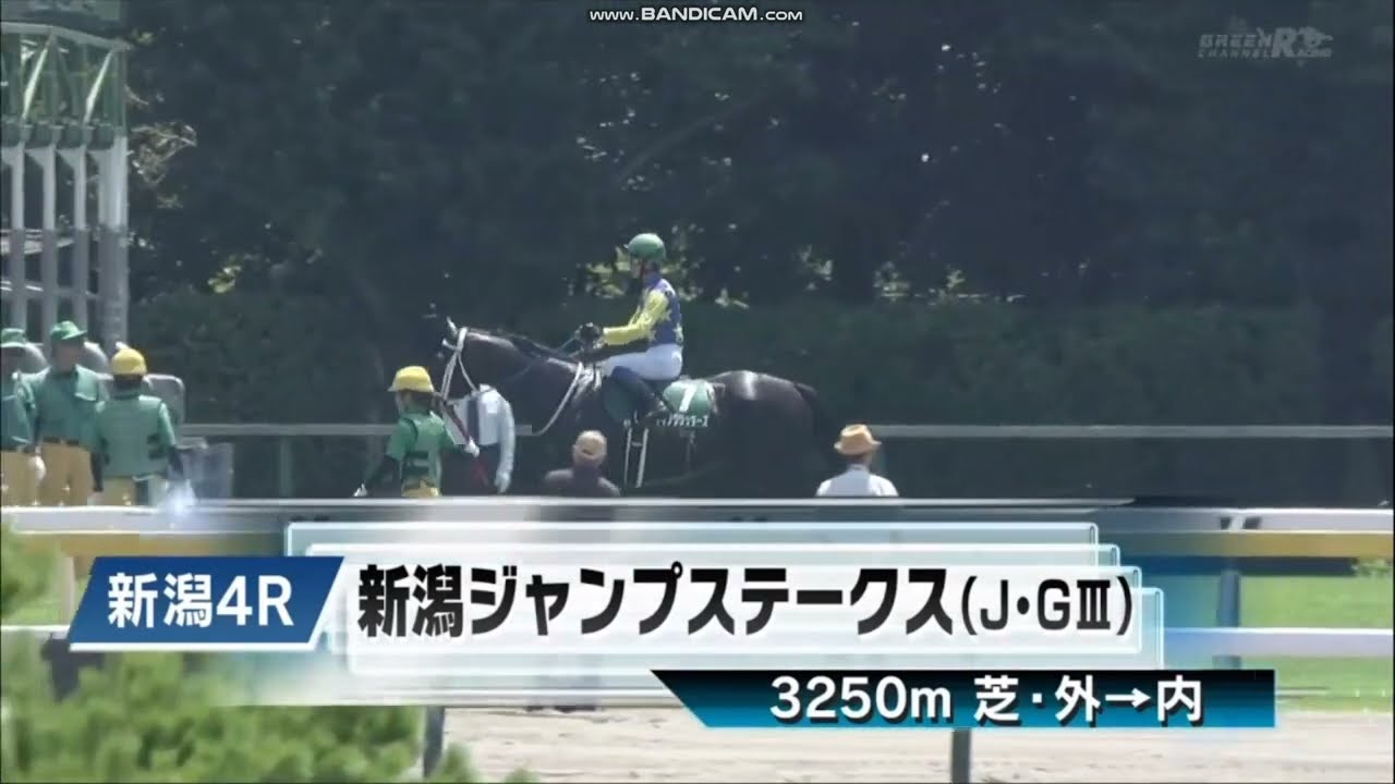 2023年 新潟ジャンプステークス（J･GⅢ）ファンファーレ