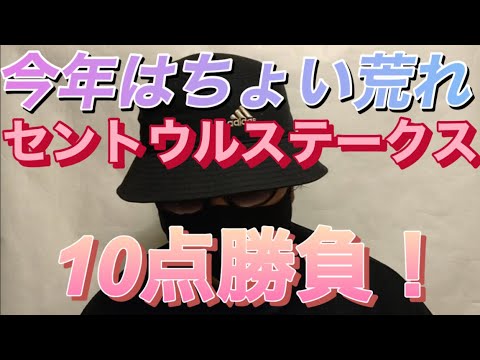 【セントウルステークス2023】目指せ！スプリンターズS！🎯セントウルステークスの予想！🎯本命は圧倒的な成績を残し続けているあの馬！セントウルSも10点勝負で勝確だ！🎯副業勝確競馬🏇#265