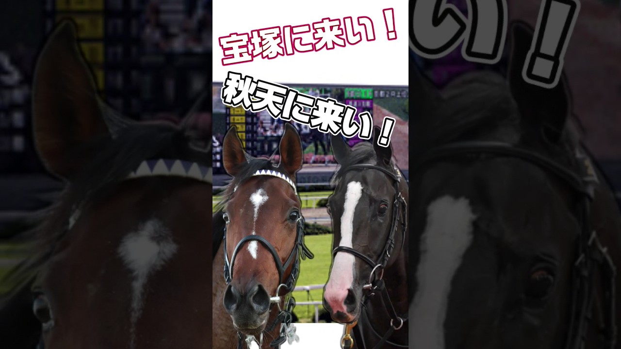 決戦！イクイノックス VS ドウデュース！…つづく…  #競馬 #ルメール #武豊 #木村哲也調教師