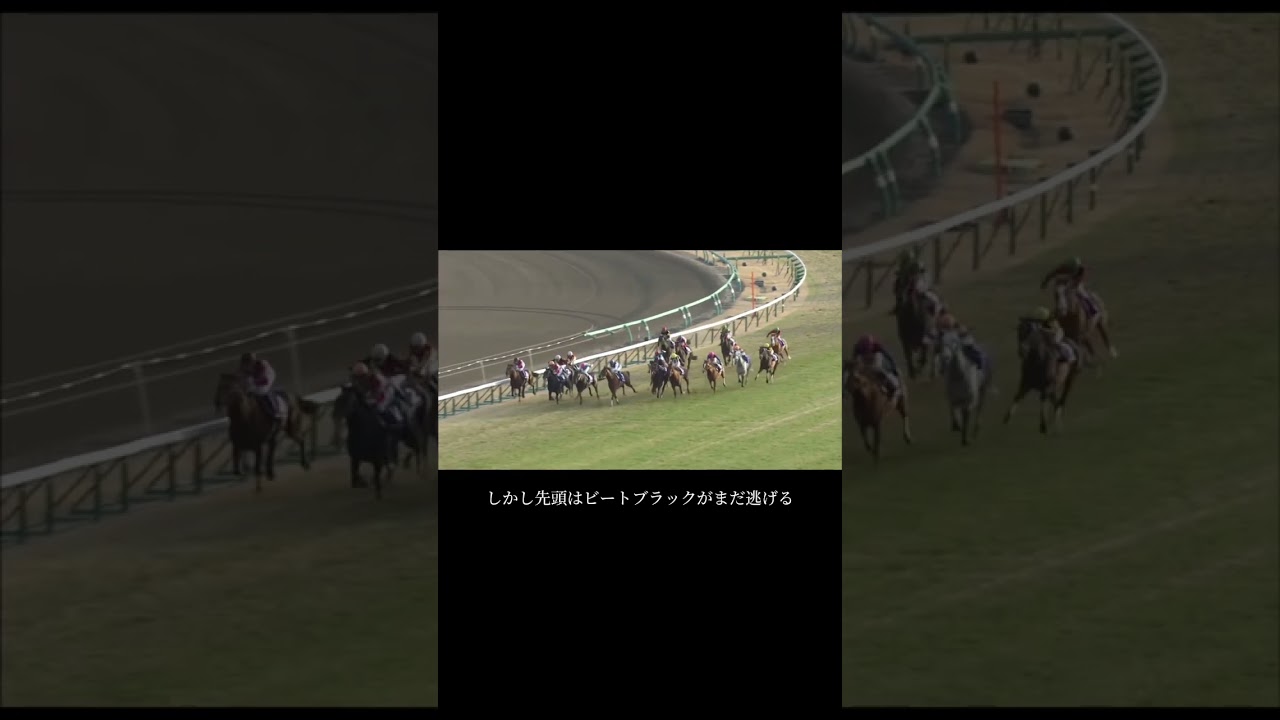名馬列伝"黄金船"【ゴールドシップ】 #ゴールドシップ #競馬 #名馬 #有馬記念