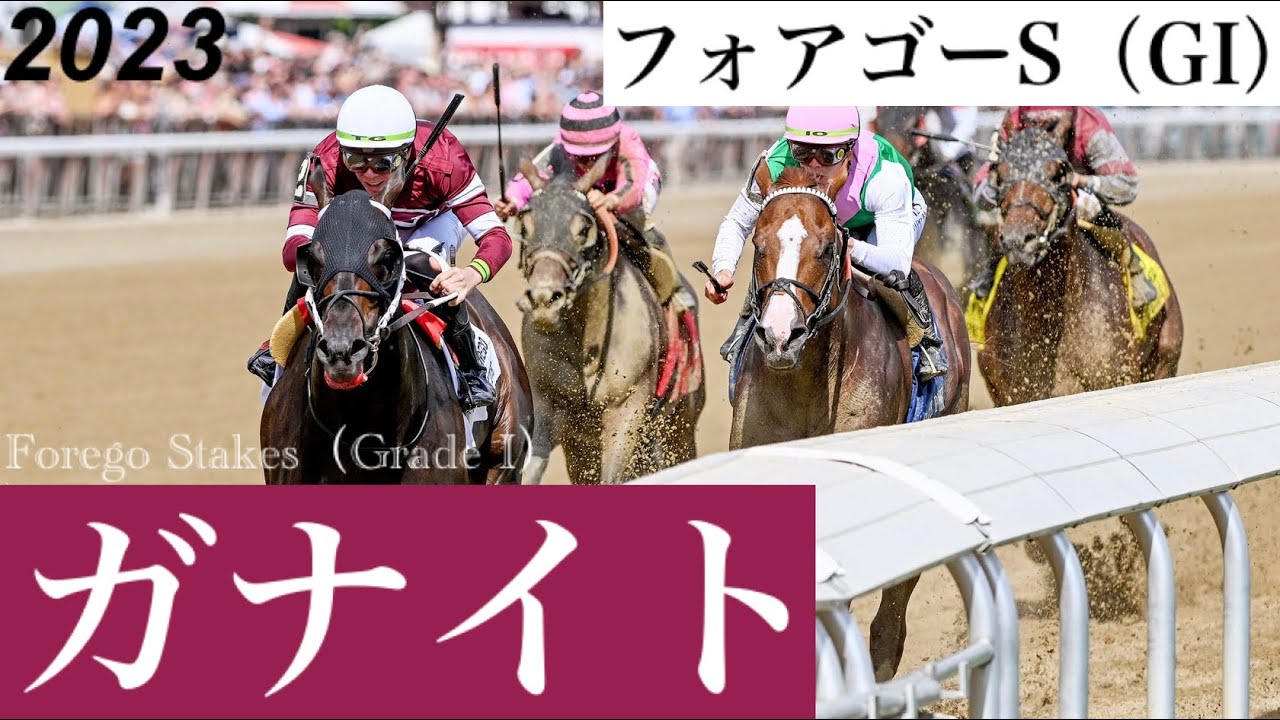ガナイトが鮮やかな逃げ切りでエリートパワーの9連勝を阻止！【フォアゴーS 2023】/ Gunite【Forego Stakes 2023】