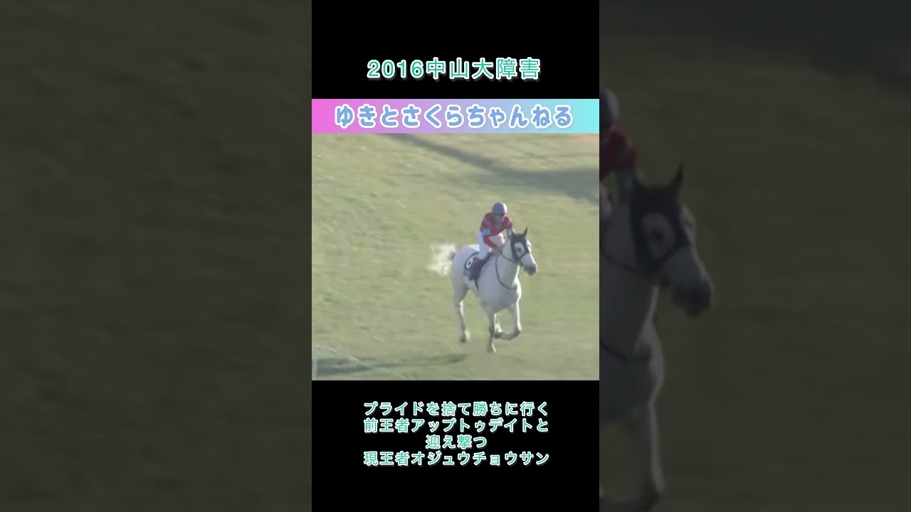 個人的に好きな感動レース2016中山大障害