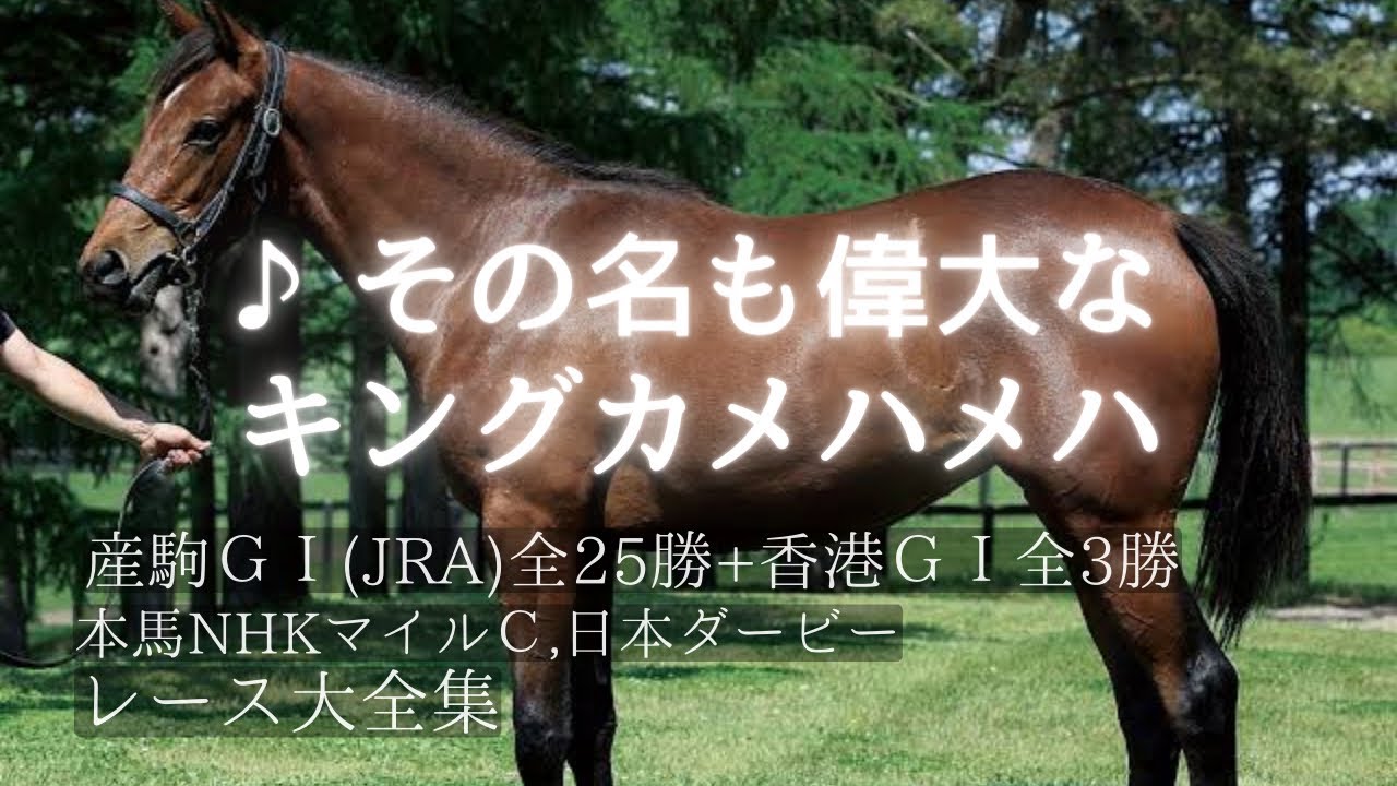 【レース大全集】キングカメハメハ。産駒にアパパネ、ロードカナロア、ドゥラメンテ、レイデオロなど‼︎まだまだ現役競走馬多数活躍中‼︎