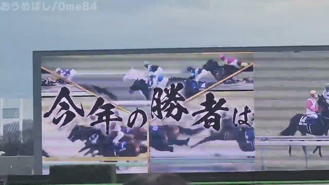 【現地映像】フェブラリーステークス2023 発走前映像＆ファンファーレ