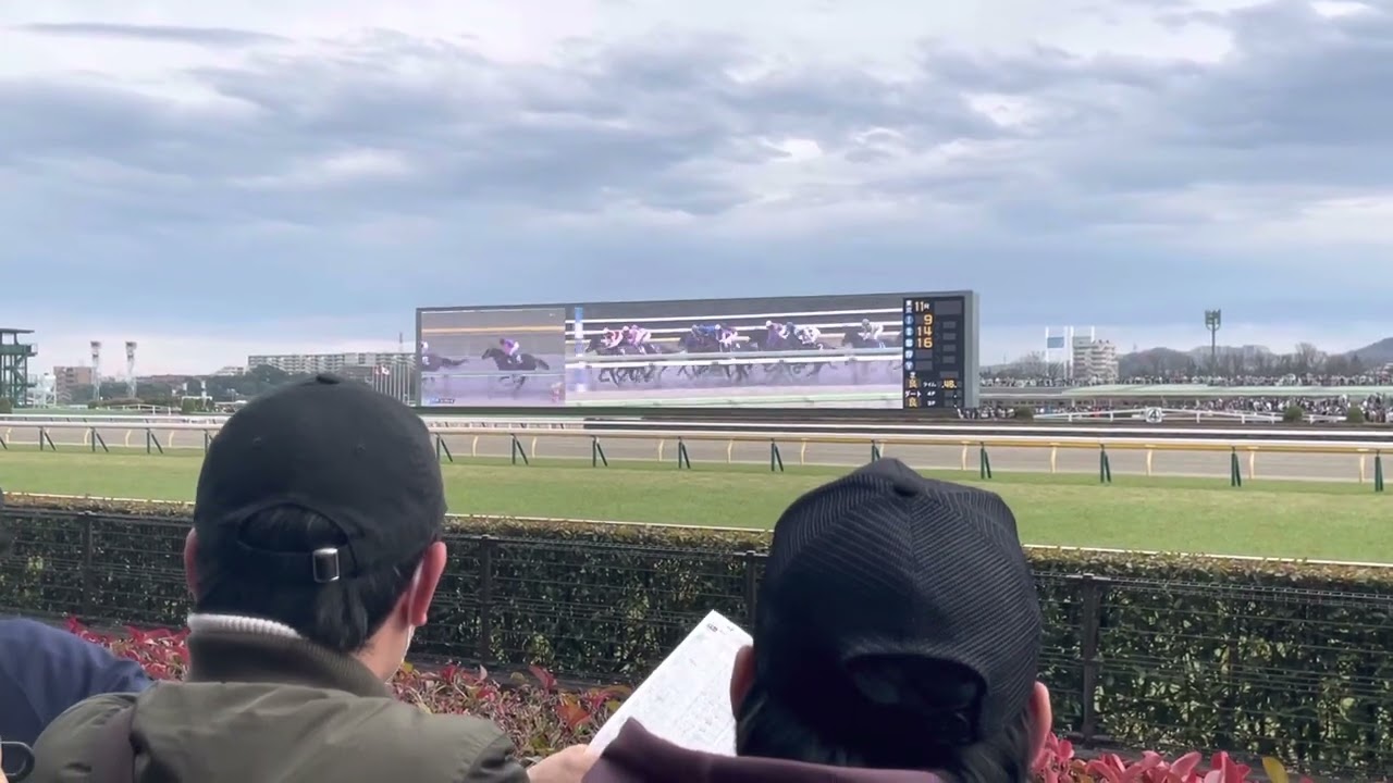 フェブラリーステークス　現地観戦　2023