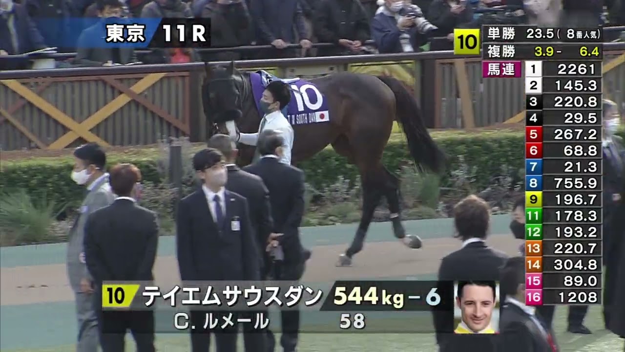 2023 02 19 東京11R フェブラリーステークス(G1) パドック
