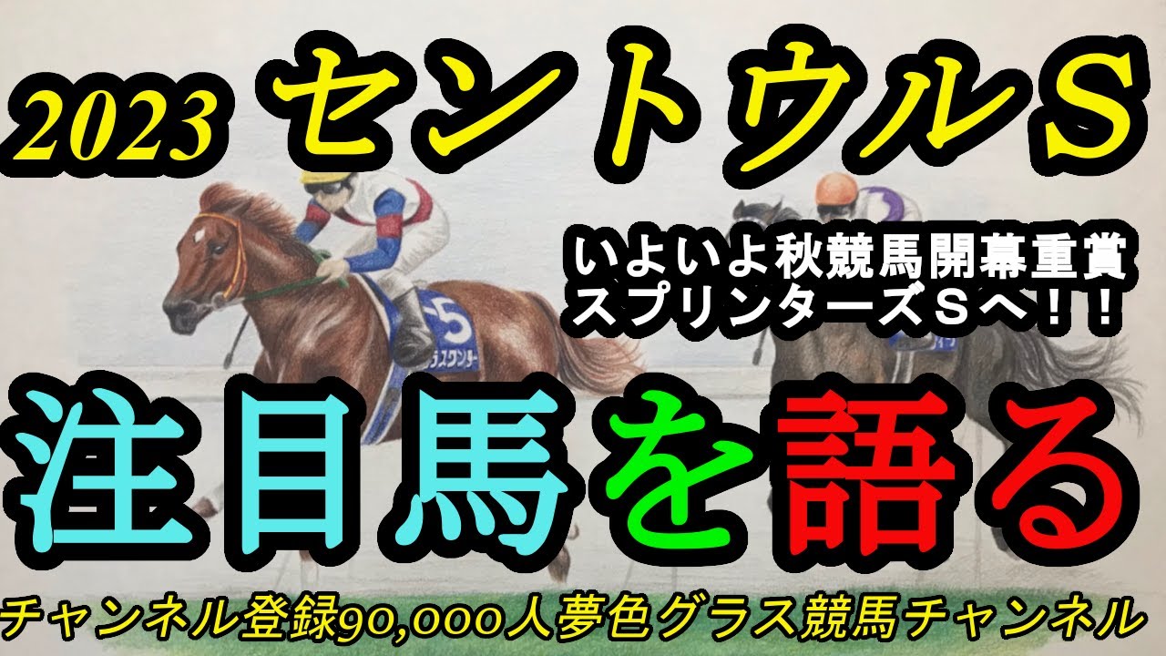 【注目馬を語る】2023セントウルステークス！アグリ、ピクシーナイトなどがスプリンターズステークスへ向けて登場！開幕週阪神のスピード勝負！