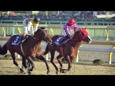 第１４回　ジャパンカップ （ＧⅠ）　マーベラスクラウン　セン４　57　南井克巳　1994.11.27　　出走馬：パラダイスクリーク、ロイスアンドロイス、エルナンド、サンドピット、ナイスネイチャ他