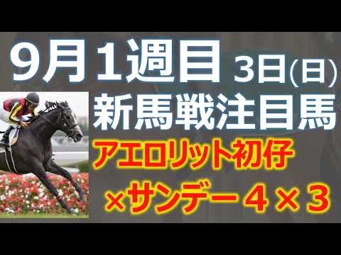 【新馬戦情報】9月3日注目新馬！アエロリット初仔 ✖ ドゥラメンテ ✖ サンデー３×４「コンドライト」は超大物の可能性あり☆