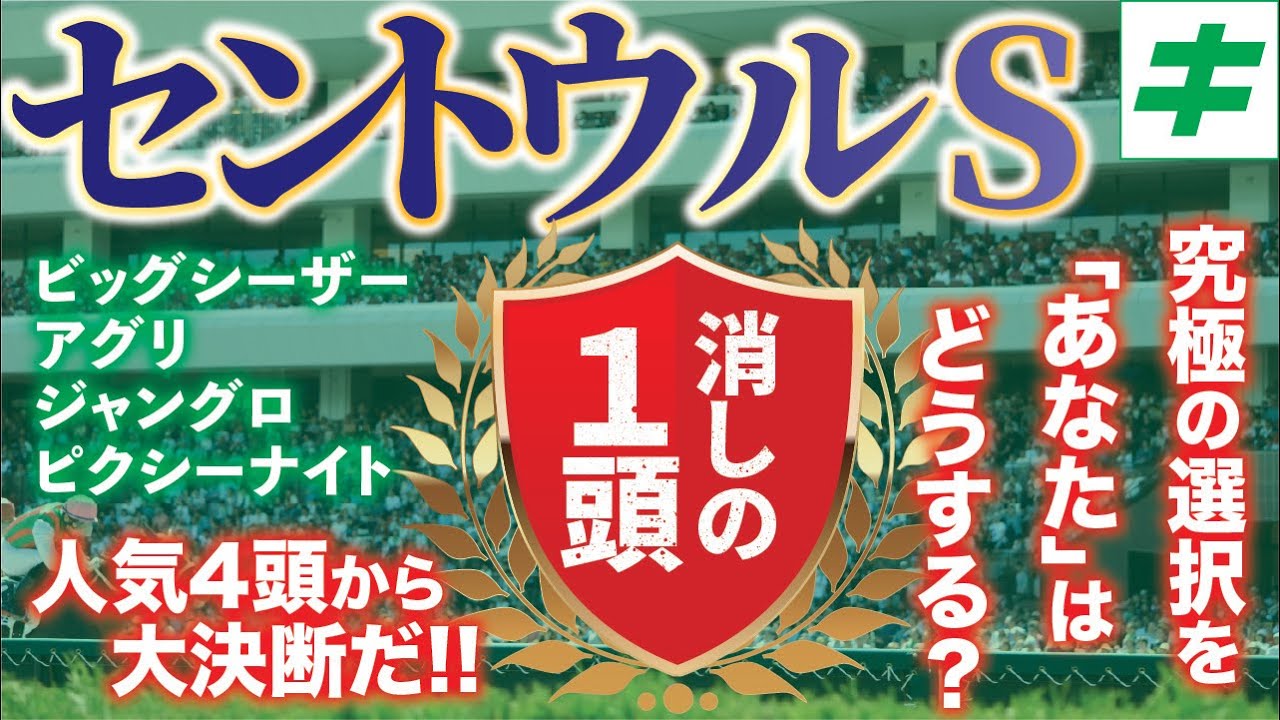 セントウルステークス 2023 【危険な人気馬】アナタならどうする？「消しの１頭」！ビッグシーザー、アグリ、ジャングロ、ピクシーナイトから選択！