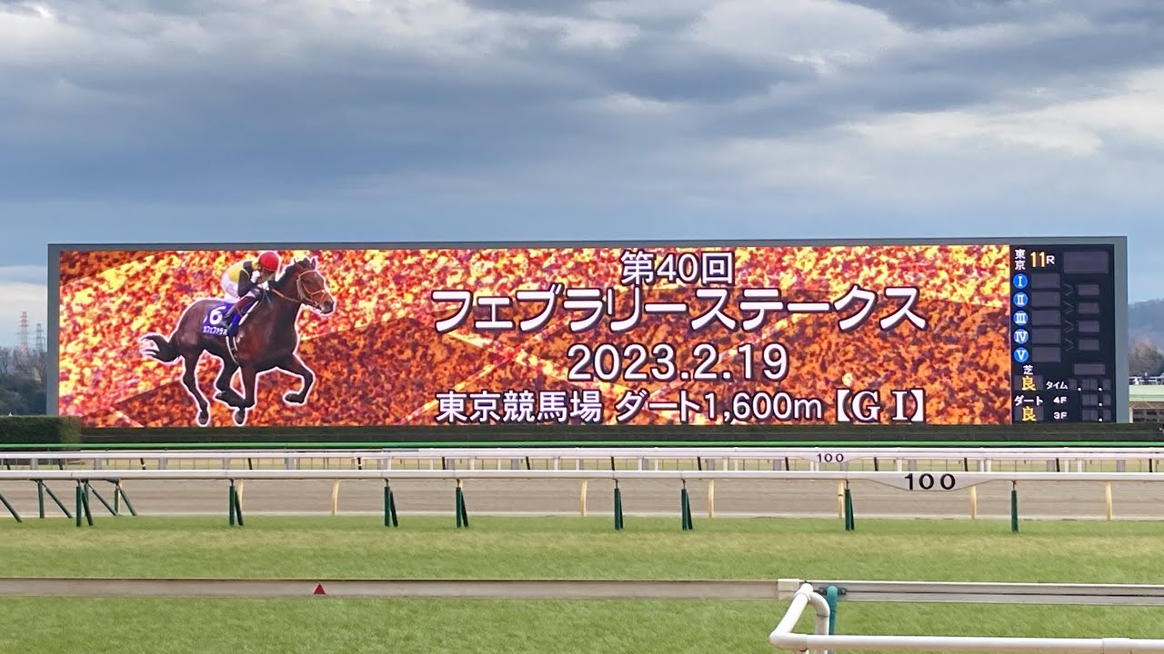 2023年 第40回フェブラリーS レース前映像 ファンファーレ 東京競馬場にて
