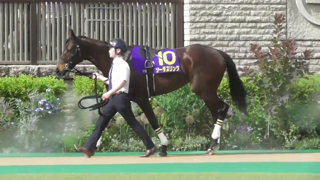 20230521 東京11R 優駿牝馬（オークス）