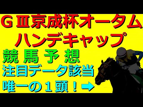 GⅢ京成杯オータムハンデキャップ【競馬予想】逃げるのはグラニット？シャイニーロック？展開予想からソウルラッシュやインダストリア等の有力馬考察も！現状の本命は注目データに唯一該当したこの馬だ！🏇