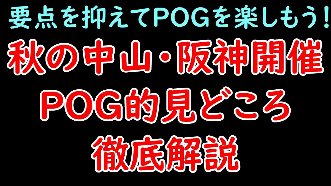 秋の中山・阪神開催POG的見どころ徹底解説！注目の新馬番組や出世レースなど注目ポイントが丸わかり！【POG23-24】