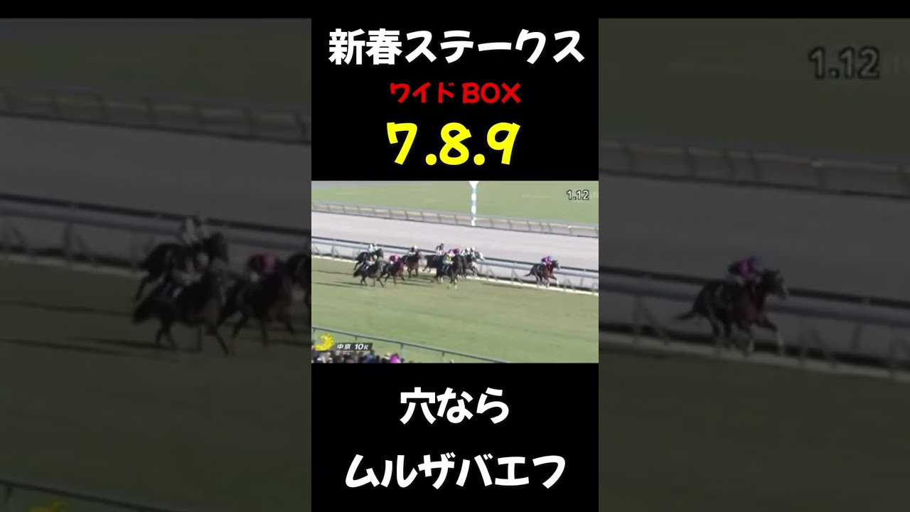 ホープフルに穴あけた騎手から#ギャンブル #競馬 1#ワイド