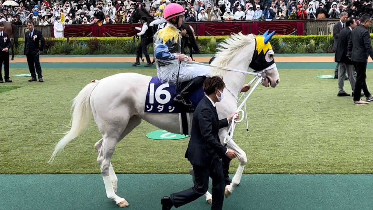 【ヴィクトリアマイル2023】久々のレースと大勢のファンにテンション上がり気味の女優ソダシ😳