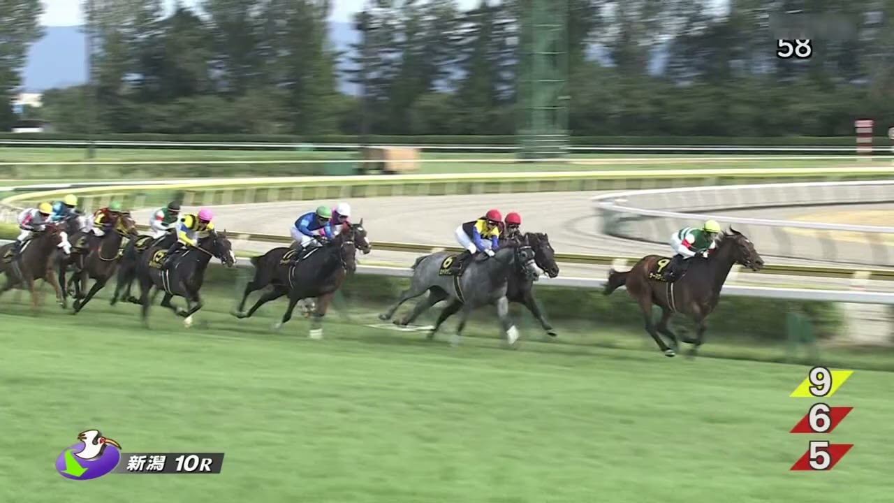 2023 08 27 新潟10R 朱鷺ステークス(L) テンハッピーローズ(津村明秀)