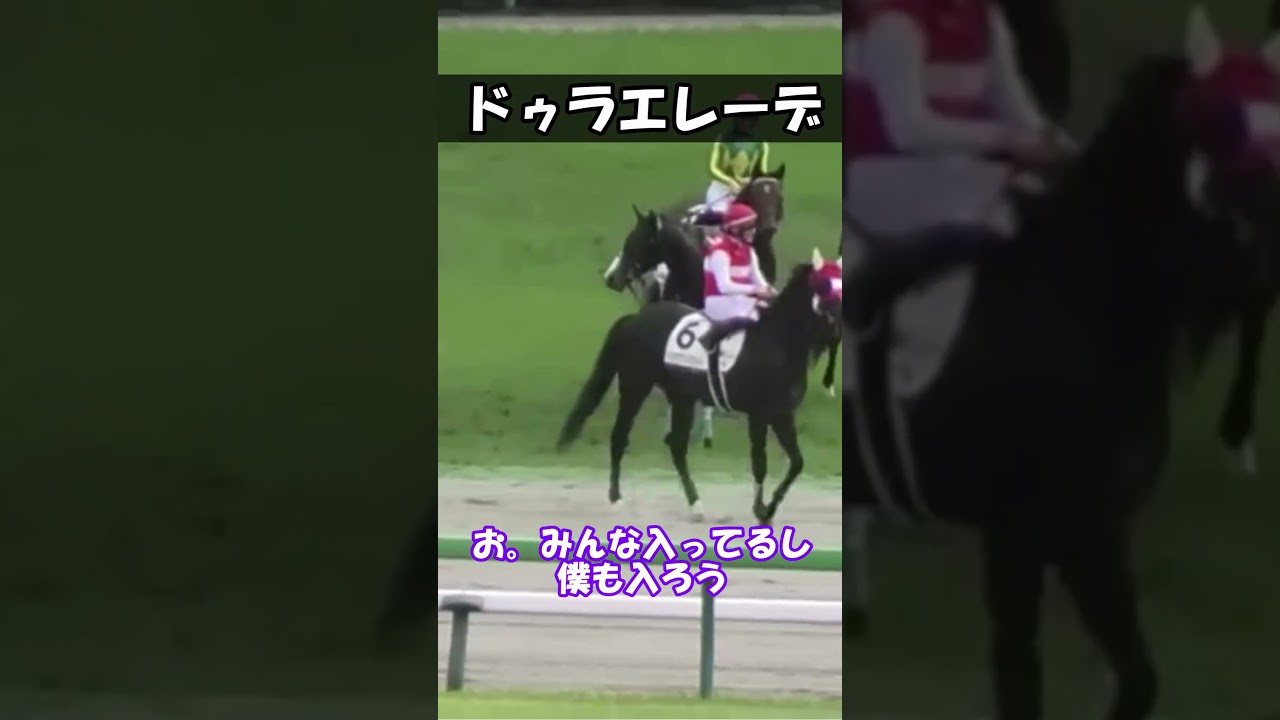 【日本ダービー】落馬したドゥラエレーデが可愛すぎる...!?  #shorts