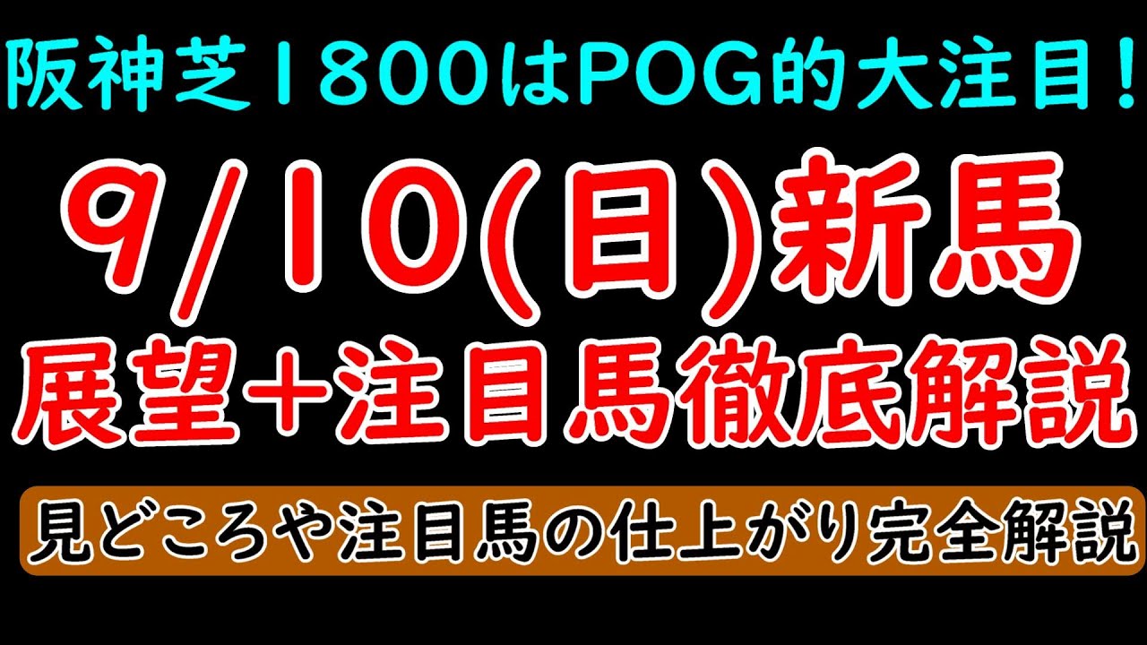 9/10(日)新馬戦展望+注目馬解説 出世レースの阪神芝1800ではブラーヴイストワルとサークルオブジョイが激突！【POG23-24】