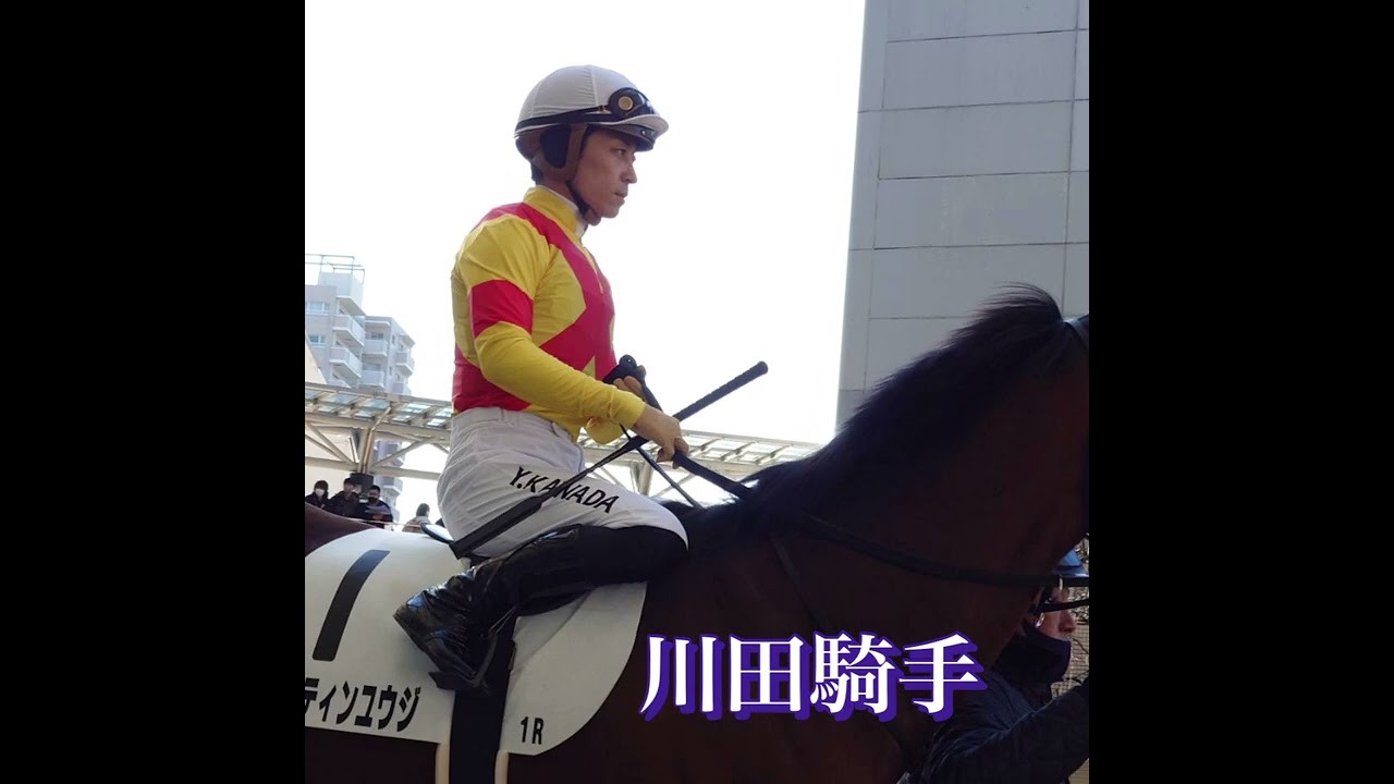 阪神競馬場(有馬記念)