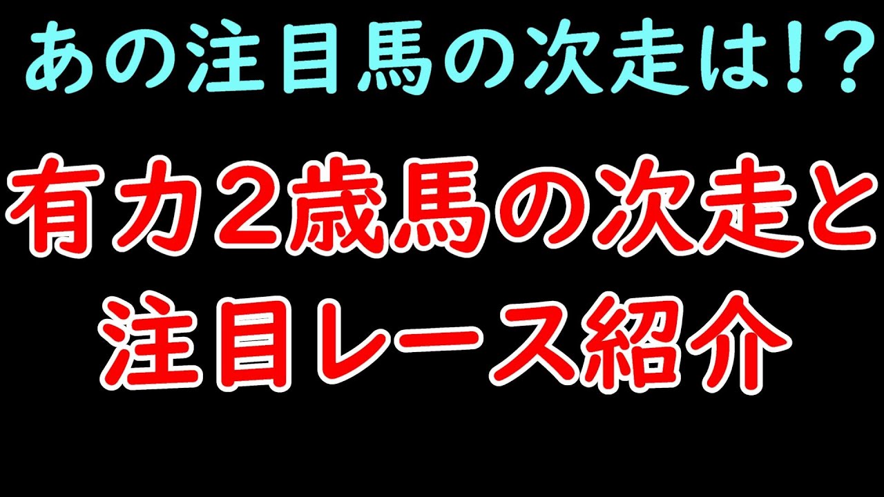有力2歳馬の次走と注目レースを一挙紹介！早くもボンドガールVSシュトラウスが実現！？【POG23-24】