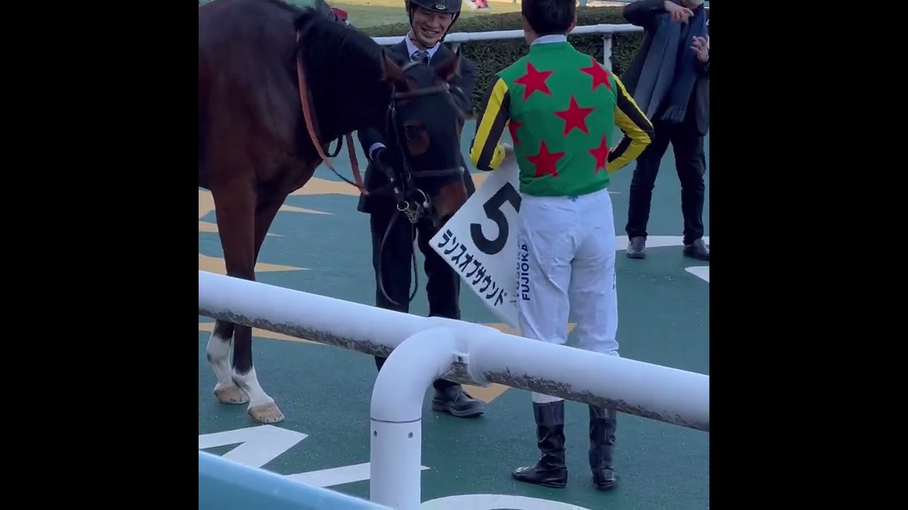 阪神競馬場　有馬記念