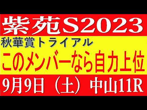 紫苑ステークス2023（競馬予想）⚠️いよいよ秋華賞トライアルです