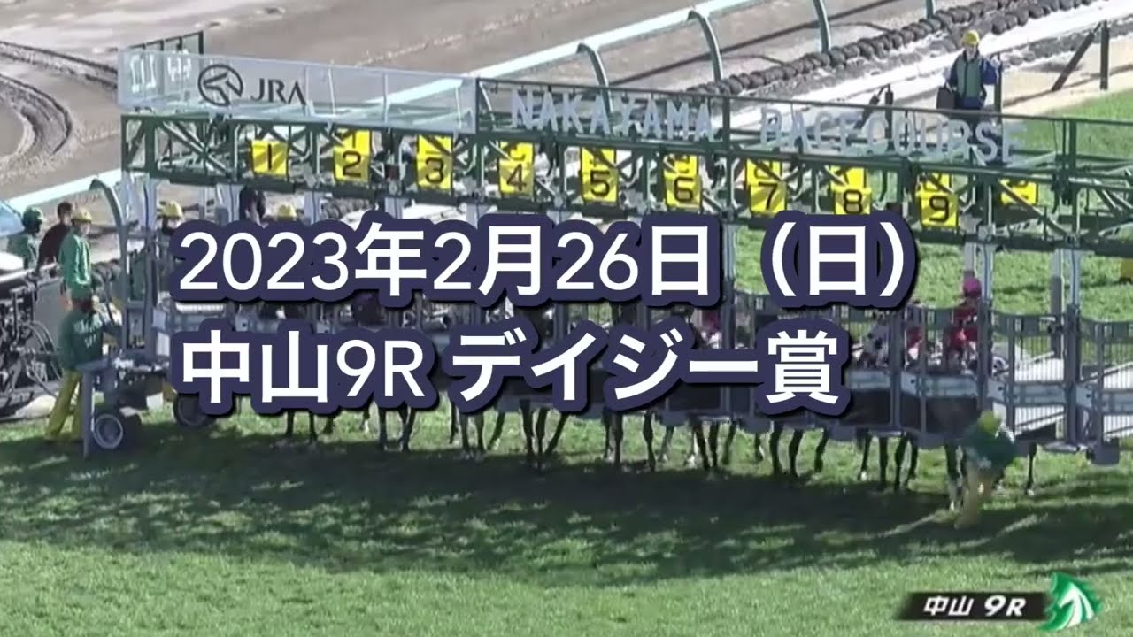2023年2月26日（日）中山9R デイジー賞レース映像【エミュー】