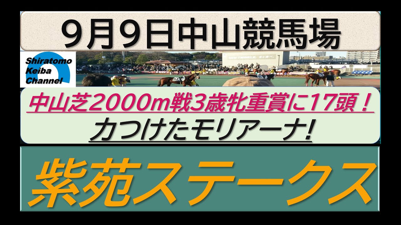 【競馬予想】GⅢ紫苑ステークス！？～２０２３年９月９日 中山競馬場 ：９－１３