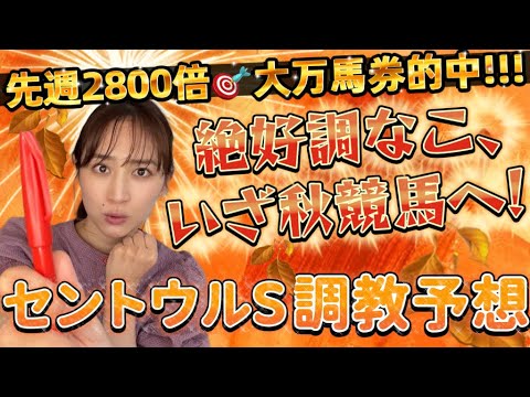 【調教予想】セントウルSを天童なこが大予想‼️最高潮の調教予想、秋初戦へ!!!