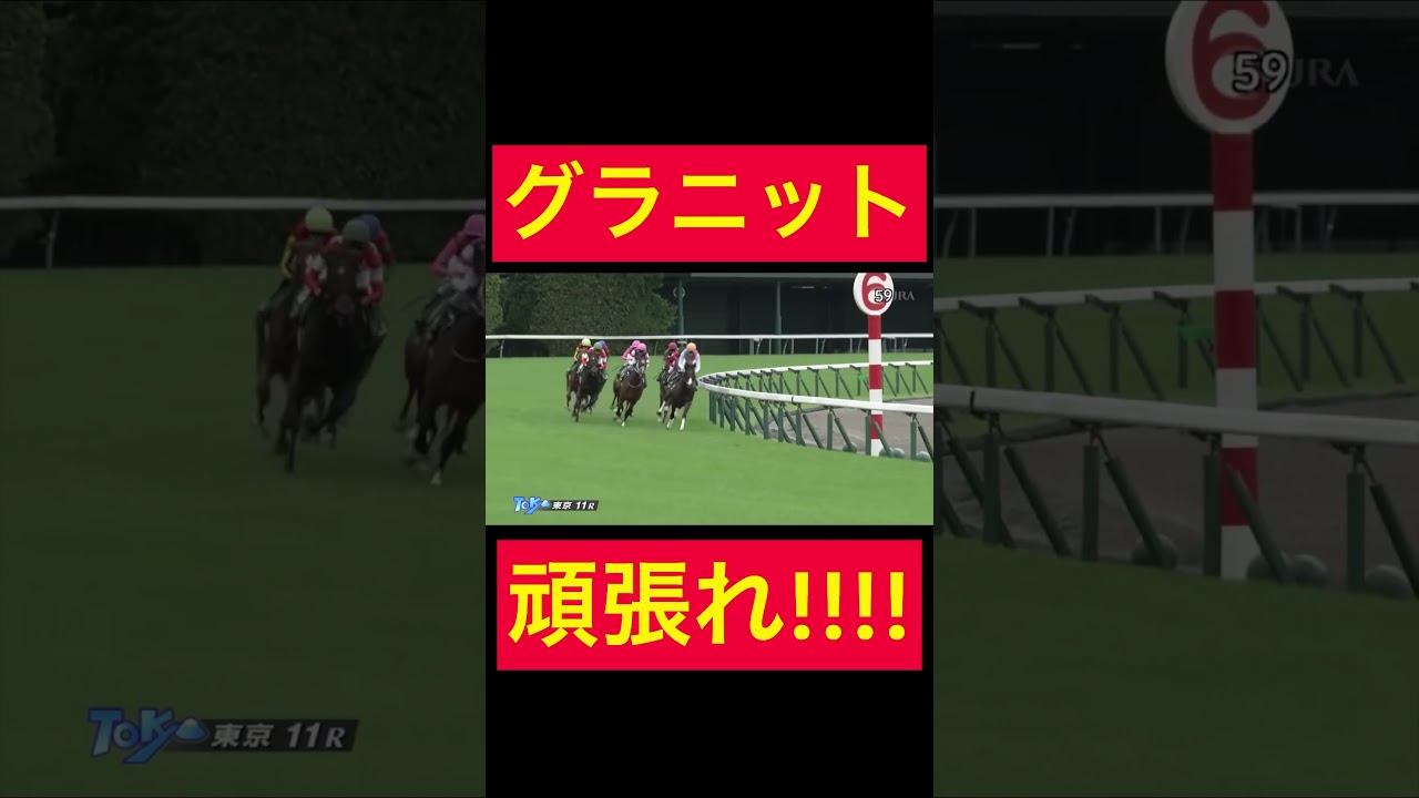 【グラニット】応援してるぞ!!京成杯AHで大逃げDREAMをもう一度🐴