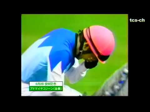 中央競馬　G1レース　2002　Japan Racing Association Grade-1 race