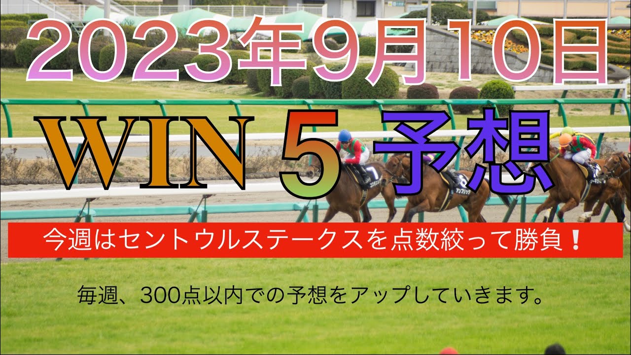【WIN5 予想 2023年9月16日】白井特別 オークランドTRT セプテンバーS セントウルS 京成杯オータムハンデキャップ