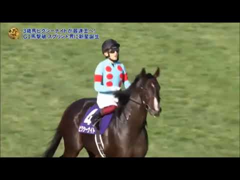 第55回　スプリンターズステークス （ＧⅠ）　ピクシーナイト　牡３　55　福永祐一　2021.10.3　　出走馬：レシステンシア、シヴァージ、メイケイエール、モズスーパーフレア、ダノンスマッシュ他