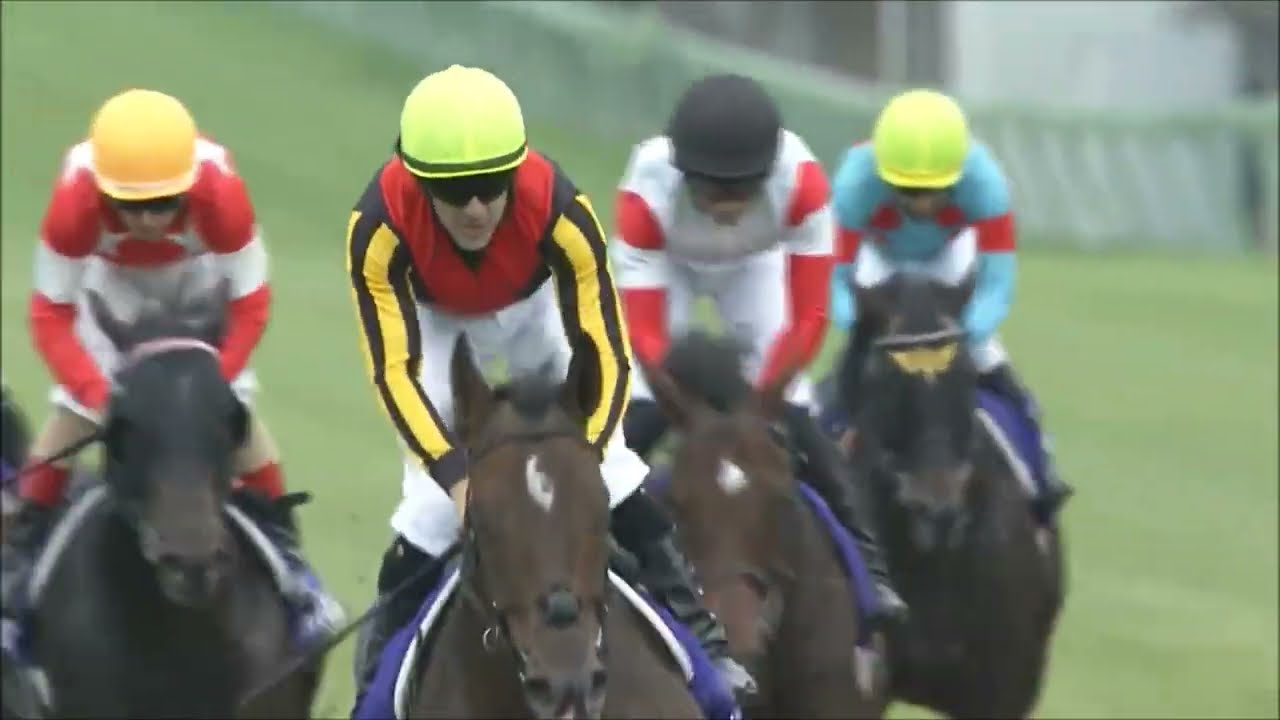 第５４回　スプリンターズステークス （ＧⅠ）　グランアレグリア　牝４　55　C.ルメール　2020.10.4　　出走馬：ダノンスマッシュ、アウィルアウェイ、ミスターメロディ、クリノガウディー他