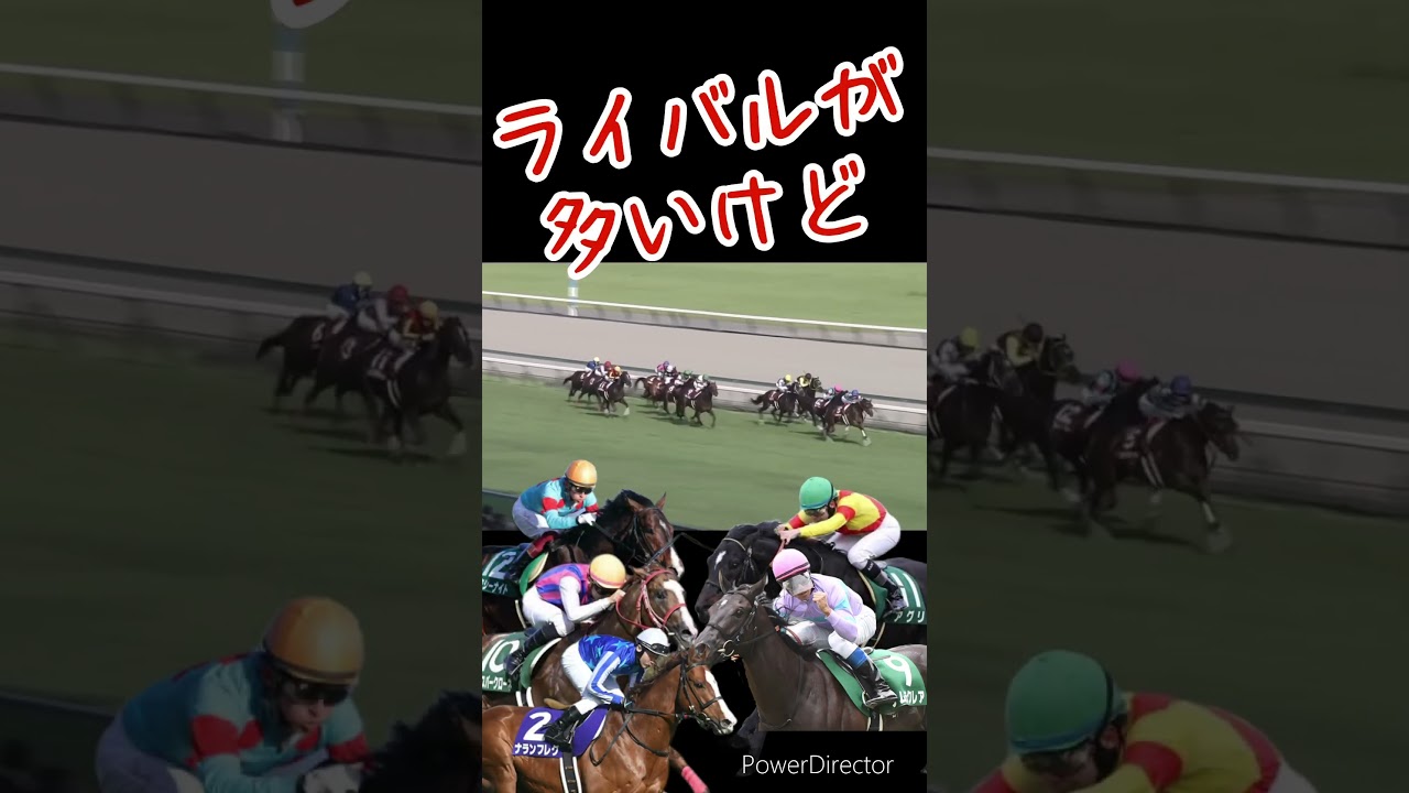 【競馬】メイケイエール悲願のG1奪取へ‼️23年スプリンターズＳへ‼️ #競馬