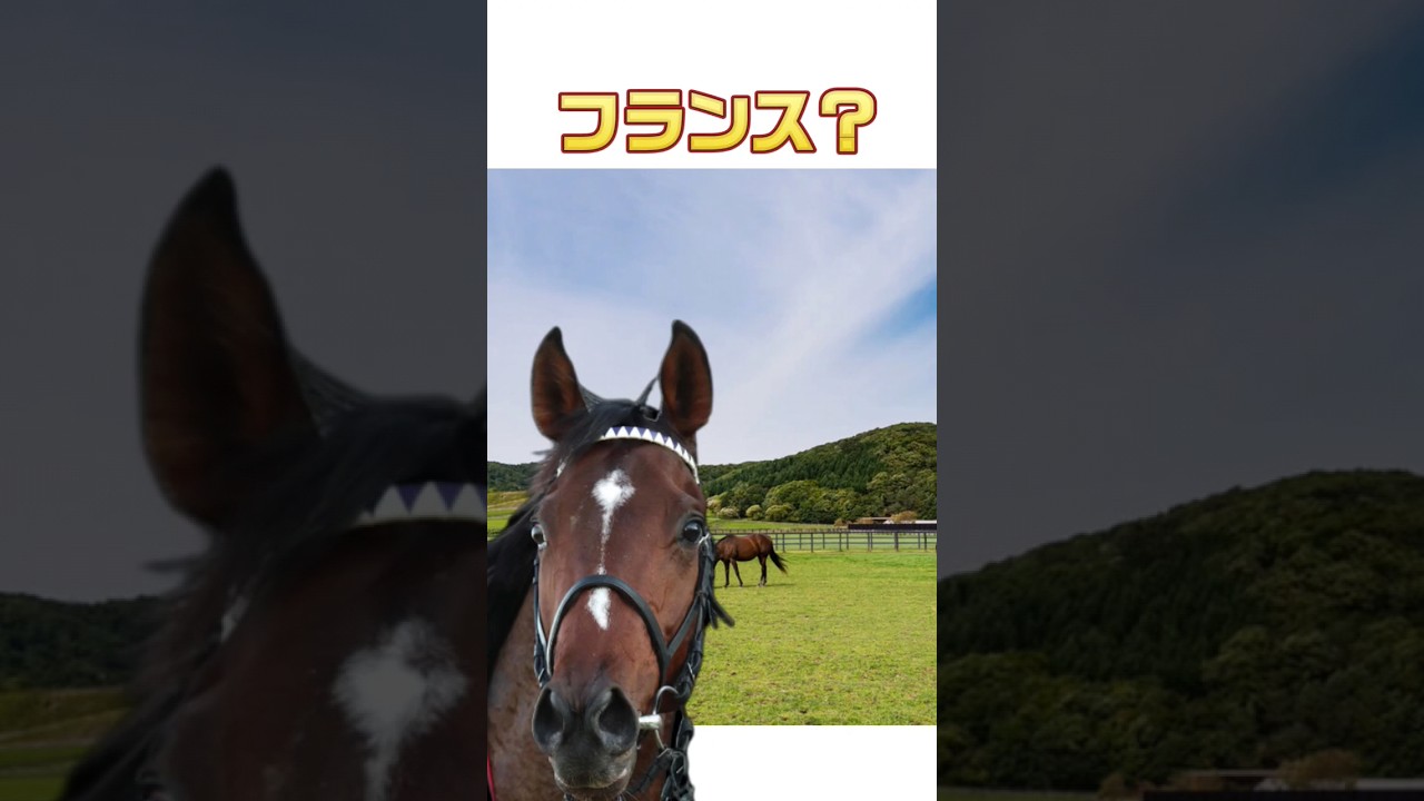 逆襲のおドウ〚凱旋門賞編〛 #競馬 #ドウデュース #武豊 #友道調教師 #キーファーズ